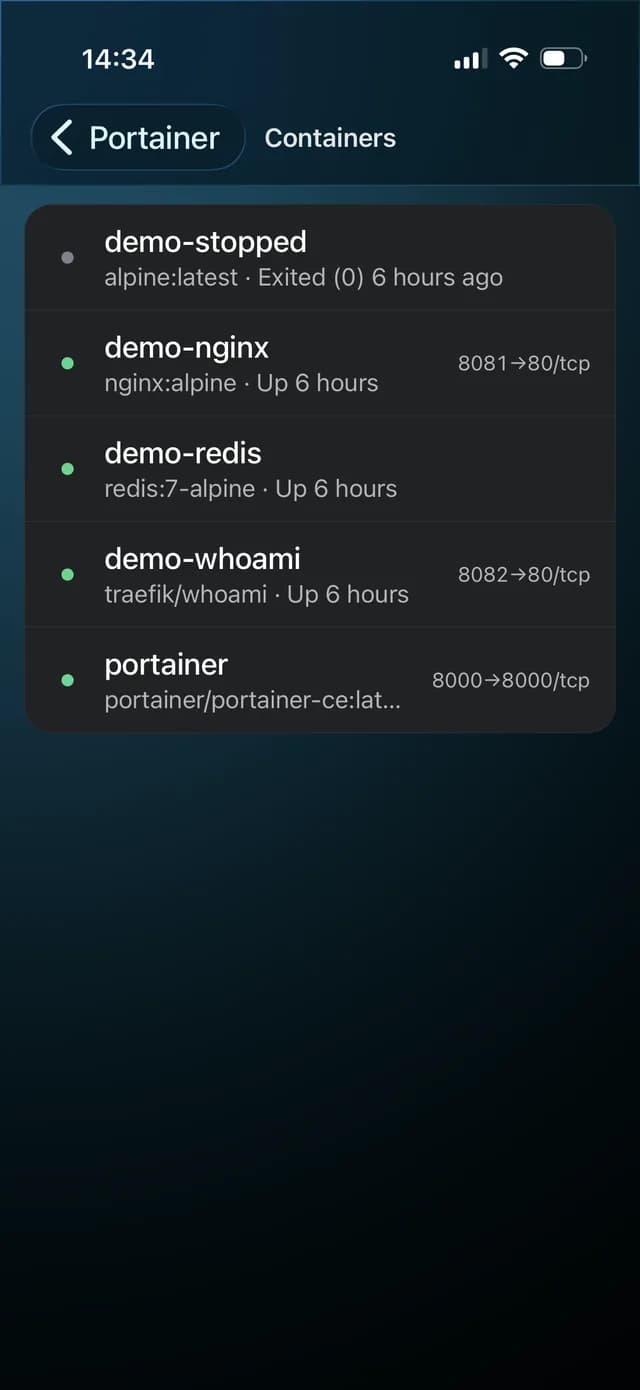 A list of Docker containers with states and port mappings